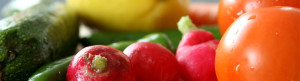 nutritional therapy header